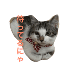 mame...（個別スタンプ：8）