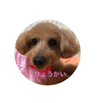 カールです（個別スタンプ：7）
