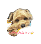 ラッテさん（個別スタンプ：1）