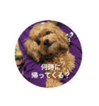 ラッテさん（個別スタンプ：6）