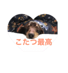 まろみさん（個別スタンプ：1）