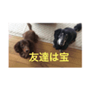 まろみさん（個別スタンプ：4）