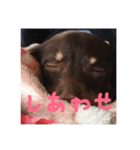 まろみさん（個別スタンプ：6）