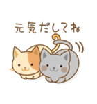 ぴたっとねこズ（個別スタンプ：23）