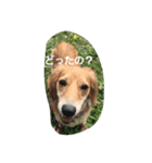 m(__)mUU^^U（個別スタンプ：8）