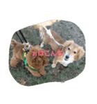 m(__)mUU^^U（個別スタンプ：10）