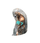m(__)mUU^^U（個別スタンプ：14）
