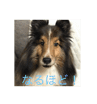 ranruroi（個別スタンプ：7）