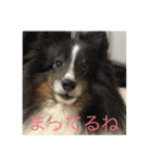 ranruroi（個別スタンプ：8）