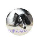 ranruroi（個別スタンプ：10）
