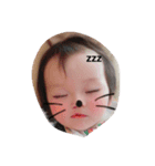 kotchan stamp（個別スタンプ：1）