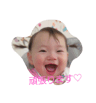 kotchan stamp（個別スタンプ：3）