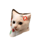 Chic-chi（個別スタンプ：3）