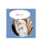 Chic-chi（個別スタンプ：4）