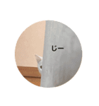 Chic-chi（個別スタンプ：8）