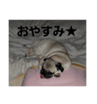k.tono（個別スタンプ：3）