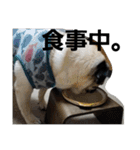 k.tono（個別スタンプ：5）