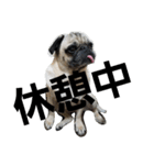 k.tono（個別スタンプ：11）