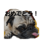 k.tono（個別スタンプ：13）