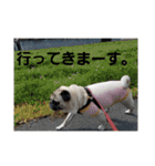 k.tono（個別スタンプ：18）