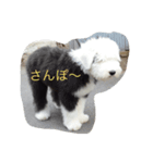 こばん（個別スタンプ：4）