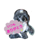 *.. sey ..*（個別スタンプ：5）