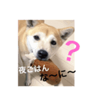 ランタコ（個別スタンプ：6）