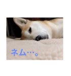 ランタコ（個別スタンプ：7）