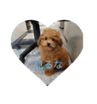 ちえのかーる（個別スタンプ：1）