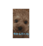 ちえのかーる（個別スタンプ：9）
