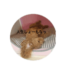 ちえのかーる（個別スタンプ：12）