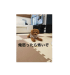 ちえのかーる（個別スタンプ：13）