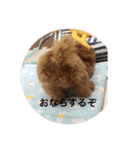 ちえのかーる（個別スタンプ：14）