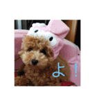 ちえのかーる（個別スタンプ：15）