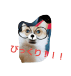 はな、じじ、のん（個別スタンプ：10）