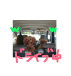 family@@（個別スタンプ：4）