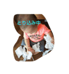 ant01（個別スタンプ：11）