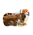 ant01（個別スタンプ：30）