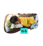 ant01（個別スタンプ：33）