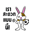 Mr. Tai lovely bunny（個別スタンプ：40）