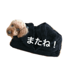 Coco stamp..（個別スタンプ：6）