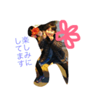 わかよし（個別スタンプ：24）