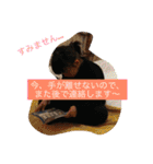 わかよし（個別スタンプ：31）