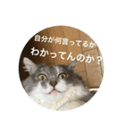ぶにゃごらす（個別スタンプ：5）