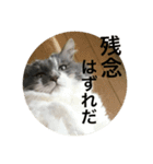 ぶにゃごらす（個別スタンプ：10）