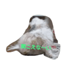 maro mu（個別スタンプ：4）