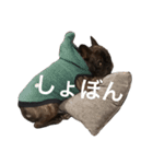 Lani02（個別スタンプ：5）