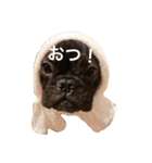 Lani02（個別スタンプ：8）