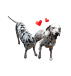 Funny Dalmatian Dogs（個別スタンプ：10）