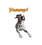 Funny Dalmatian Dogs（個別スタンプ：24）